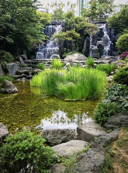 Pond Waterfall Restoration